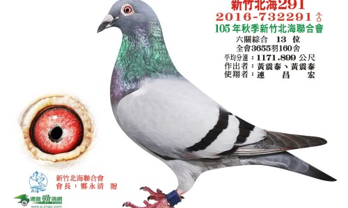 木瓜果脯的功效和作用-木瓜果图片网木瓜水果图片知识网站,分享木瓜的功效与作用大全